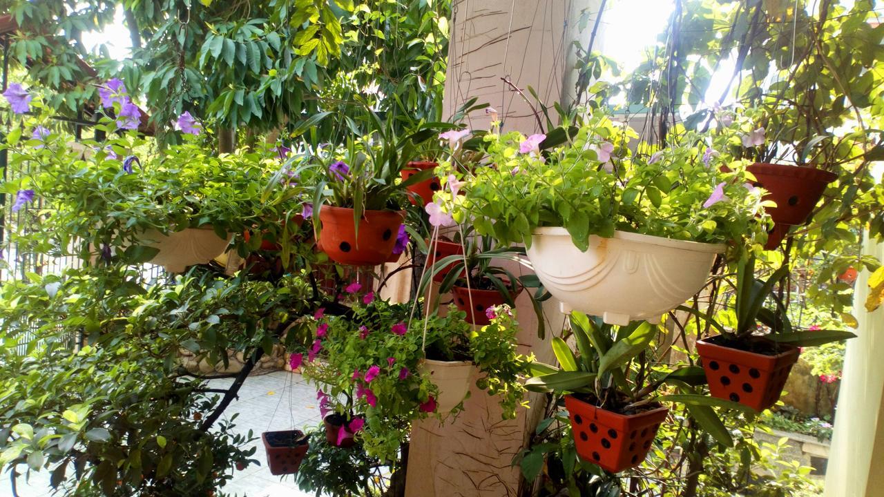 Ha Long Lily Homestay Extérieur photo